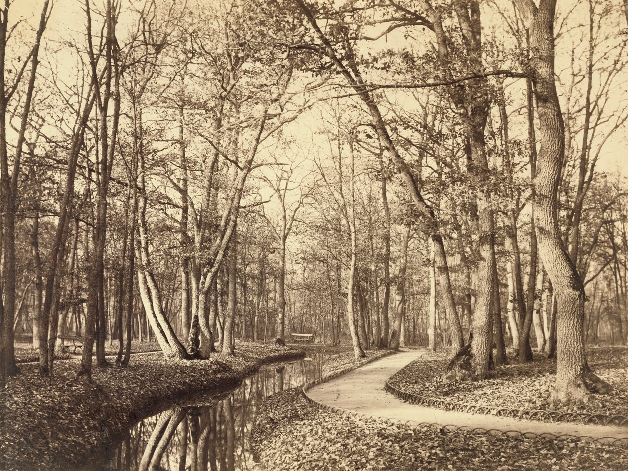 Bois de Boulogne, Paris by Charles Marville
