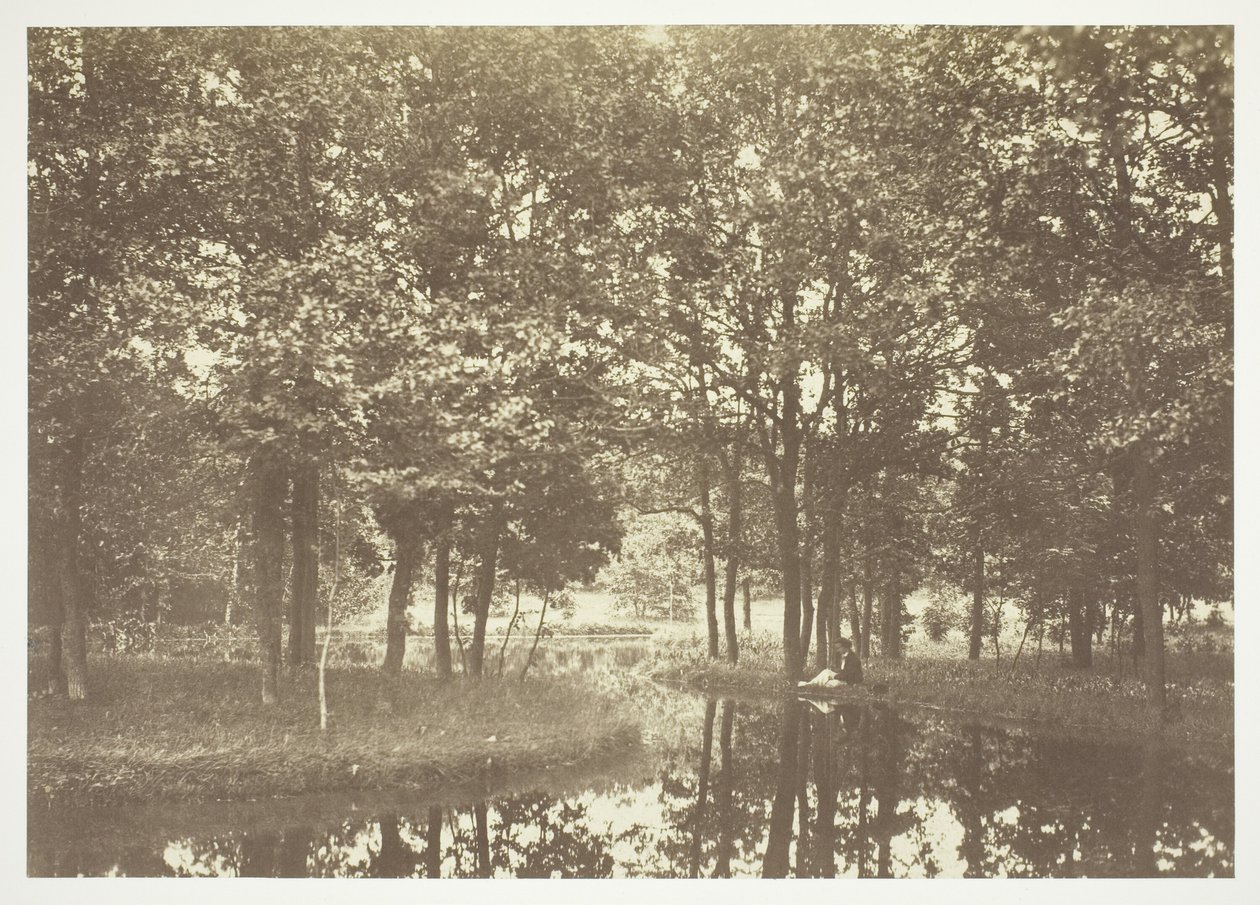 Untitled by Charles Marville