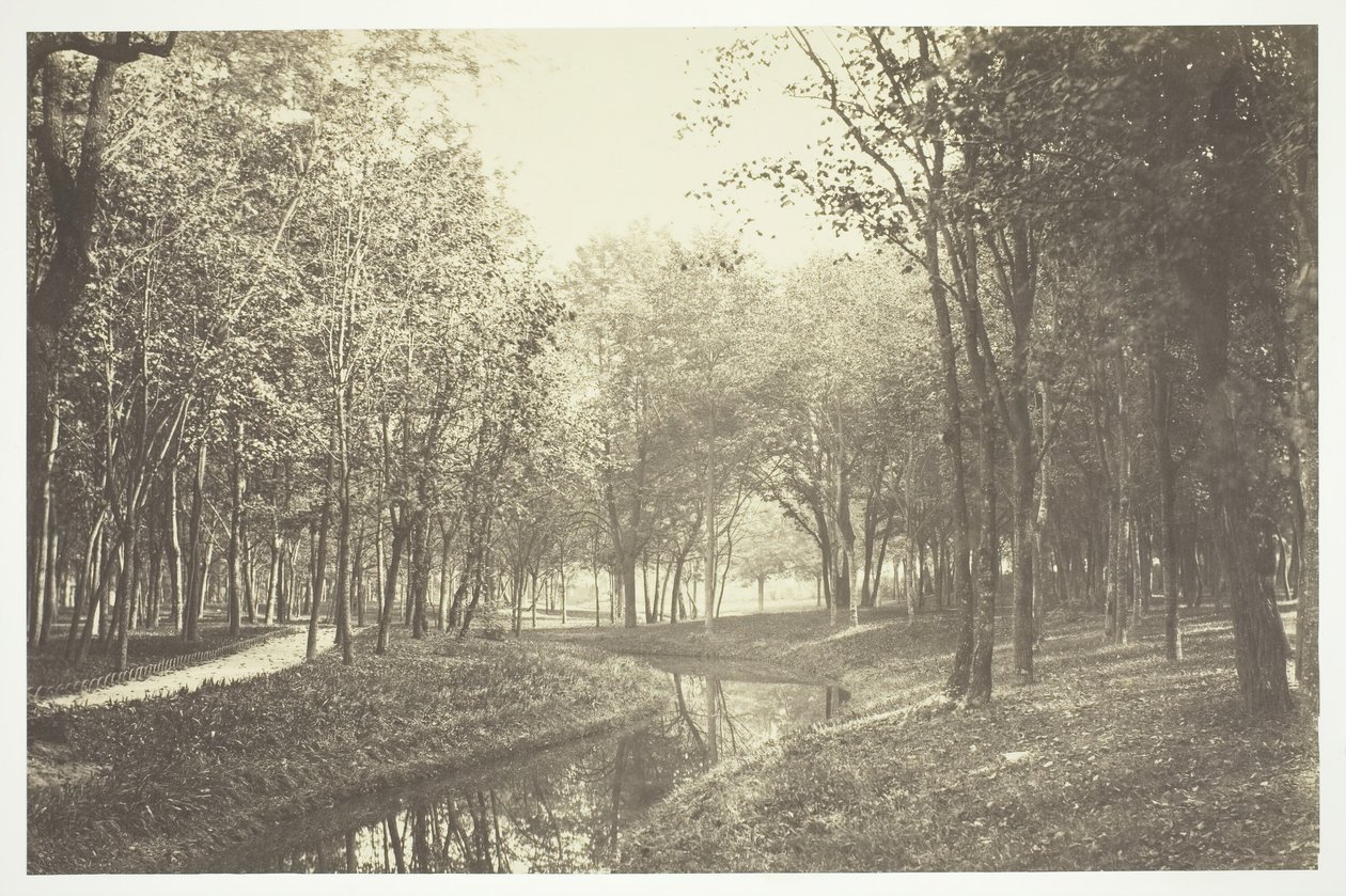 Untitled [Trees near water in the Bois de Boulogne, a park in Paris] by Charles Marville