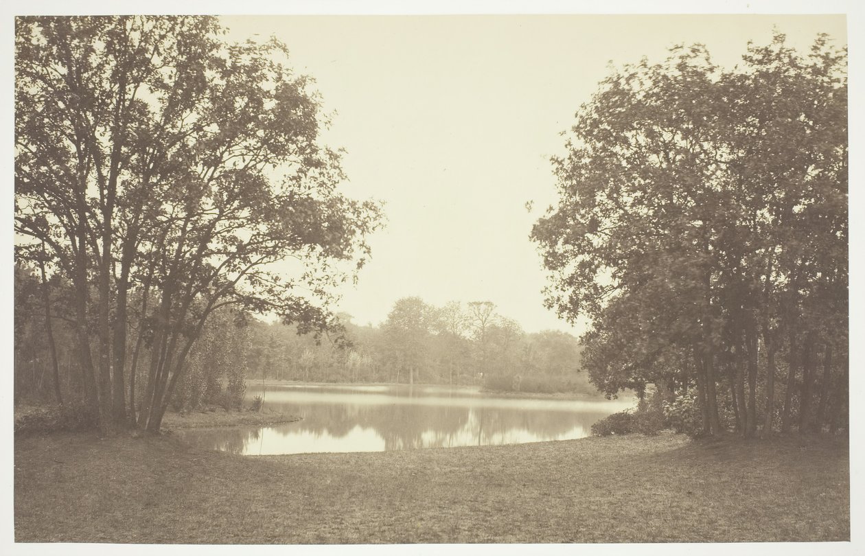 Untitled [Trees near water in the Bois de Boulogne, a park in Paris] by Charles Marville