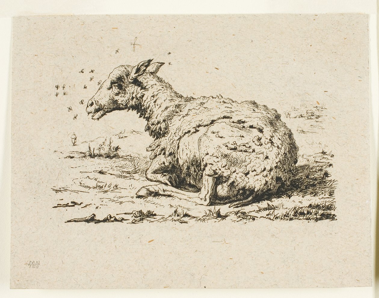 The Sheep and the Flies by Charles Meryon