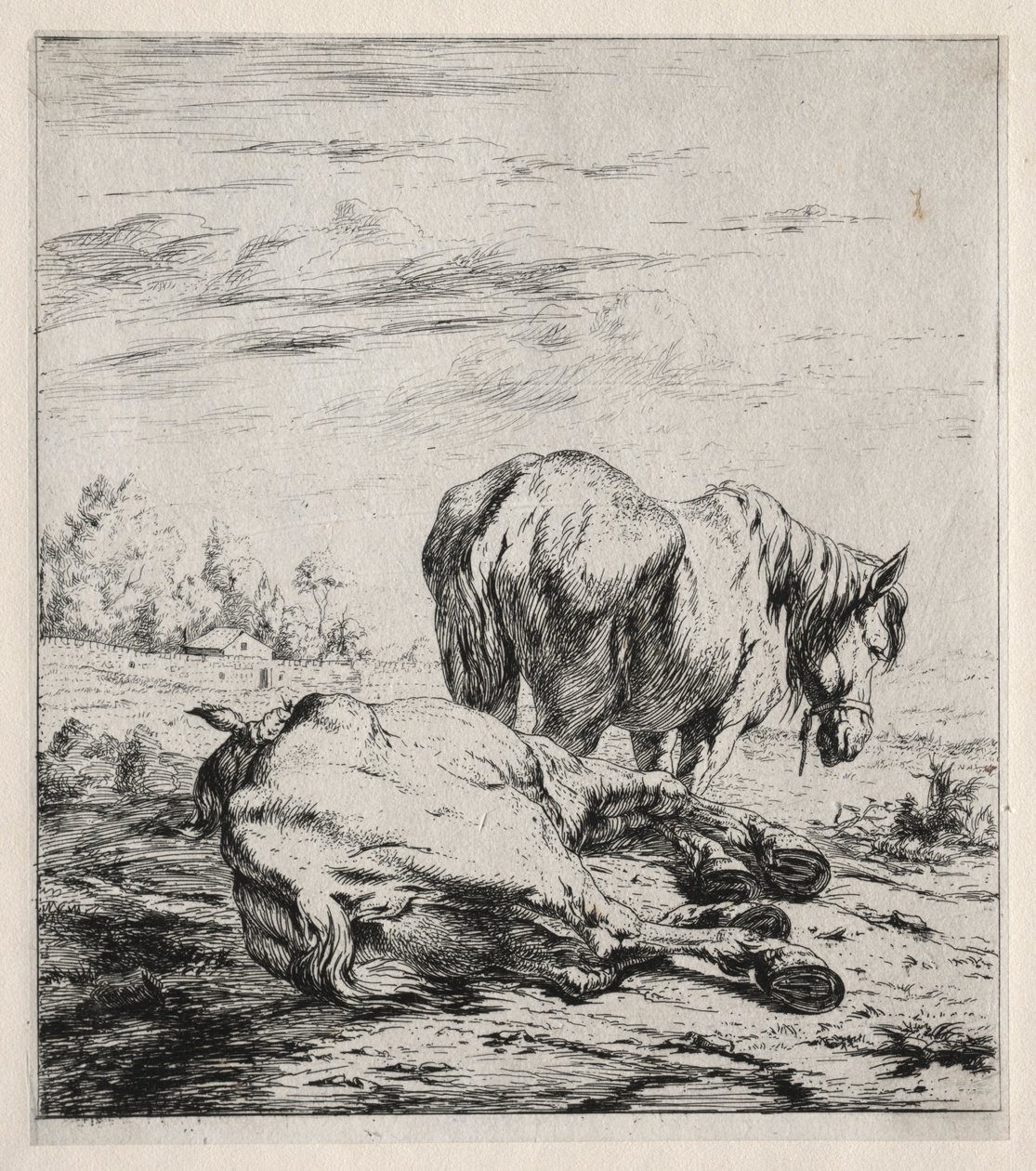 The Two Horses, 1850 by Charles Meryon