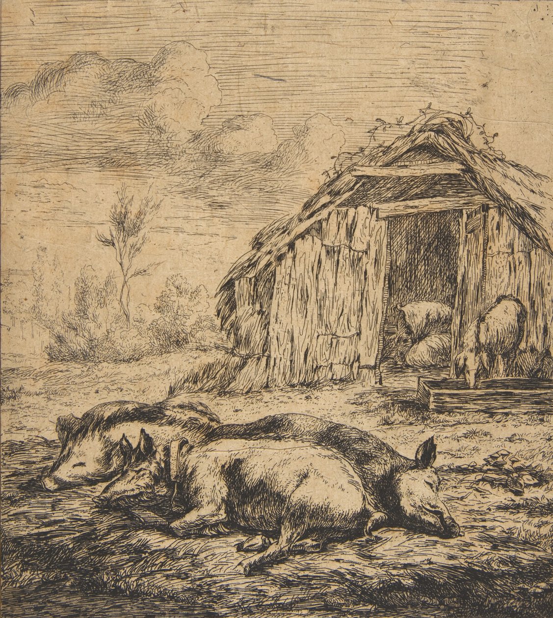 Three Pigs Lying in Front of a Shed, 1850 by Charles Meryon
