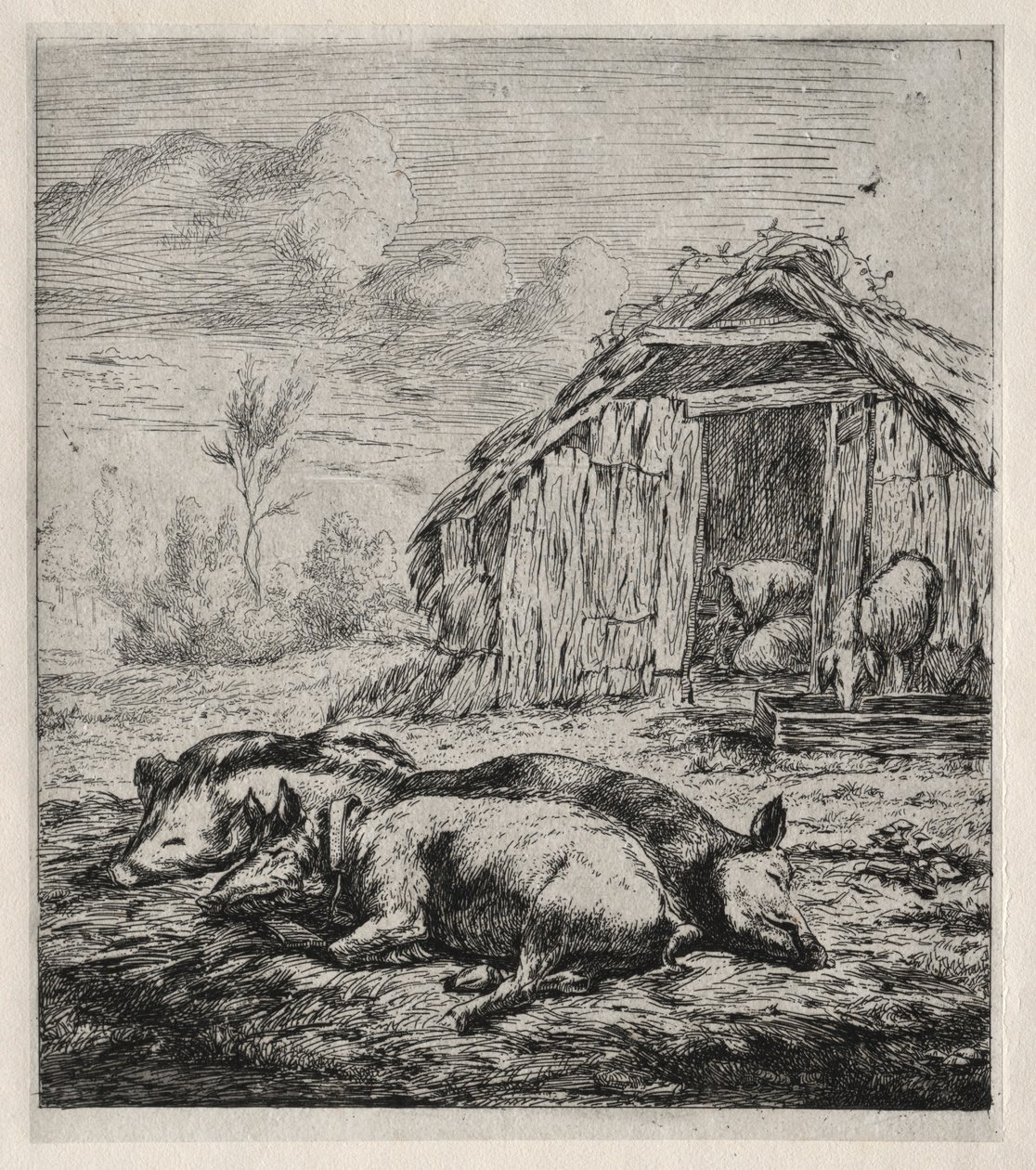Three Swine Lying in Front of a Sty, 1850 by Charles Meryon
