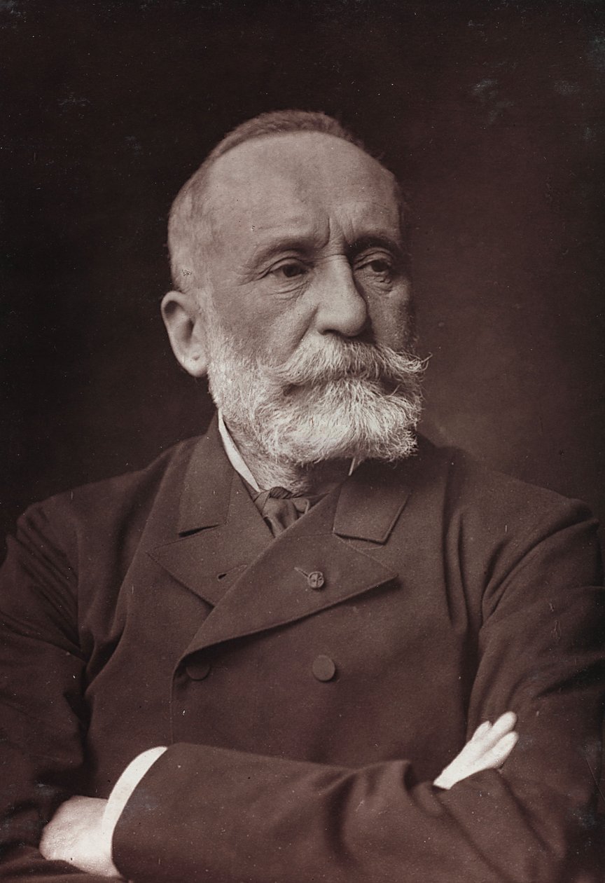 Portrait of the French Painter Pierre Puvis de Chavannes by Charles Michelez