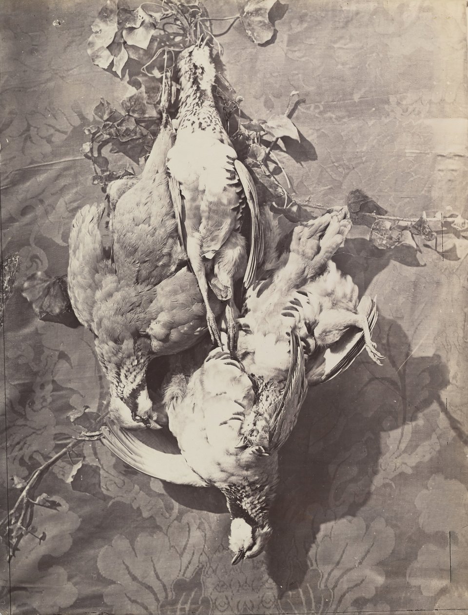 Still Life with Game Birds by Charles Nègre
