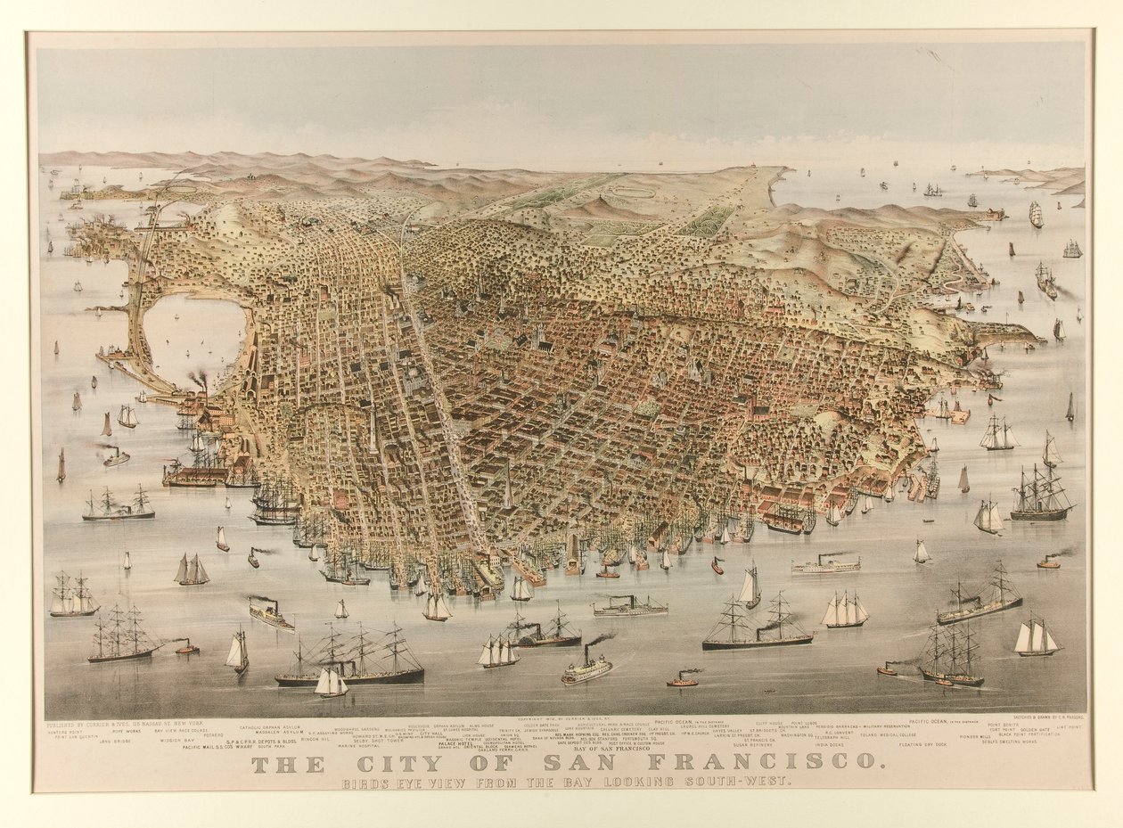 The City of San Francisco - Bird by Charles Parsons