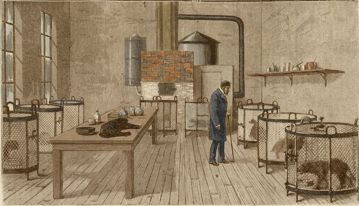 Dogs in Cages Inside Laboratory of Louis Pasteur by Charles Paul Renouard