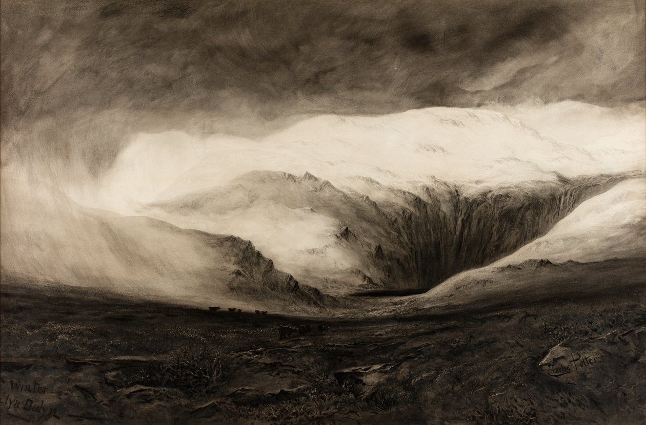 Winter, Llyn Dulyn by Charles Potter