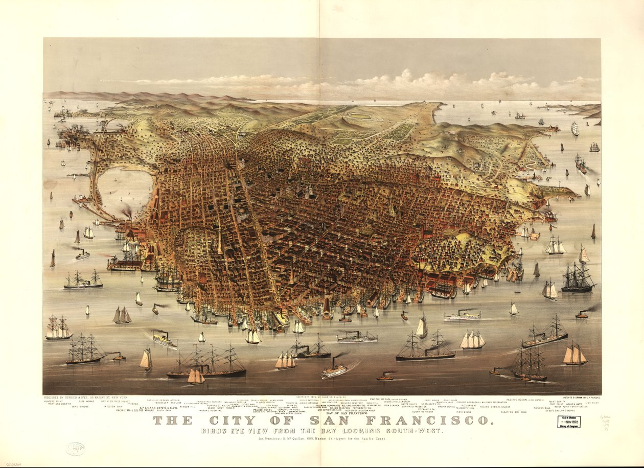 The City of San Francisco: Bird