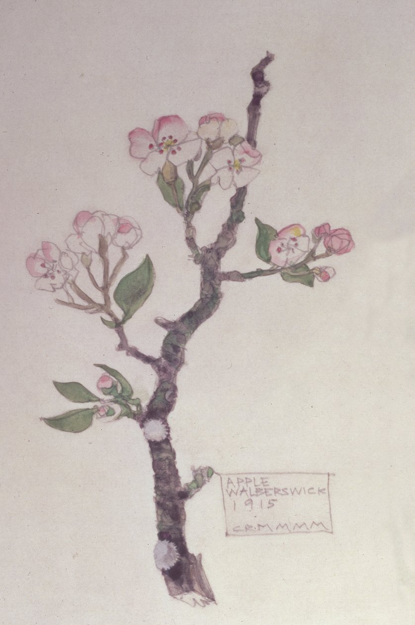 Apple, Walberswick, 1915 by Charles Rennie Mackintosh