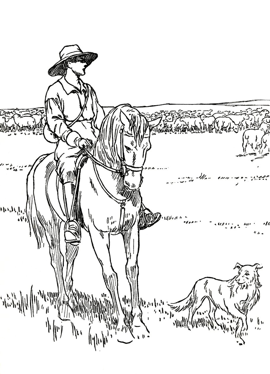 A Sheep-Station in Australia by Charles Robinson