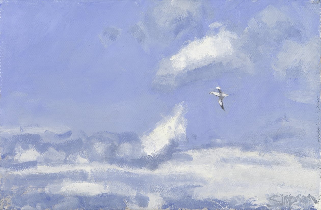 Gannet & Clouds, 2016 by Charles Simpson
