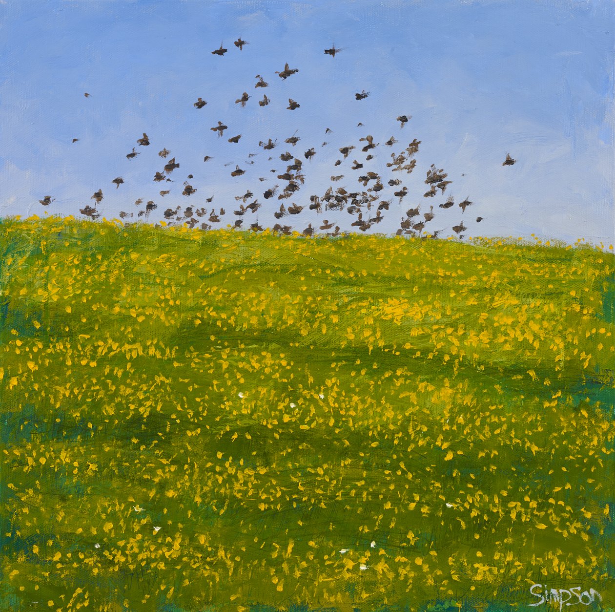 Starlings & Buttercups, Iona, 2015 by Charles Simpson