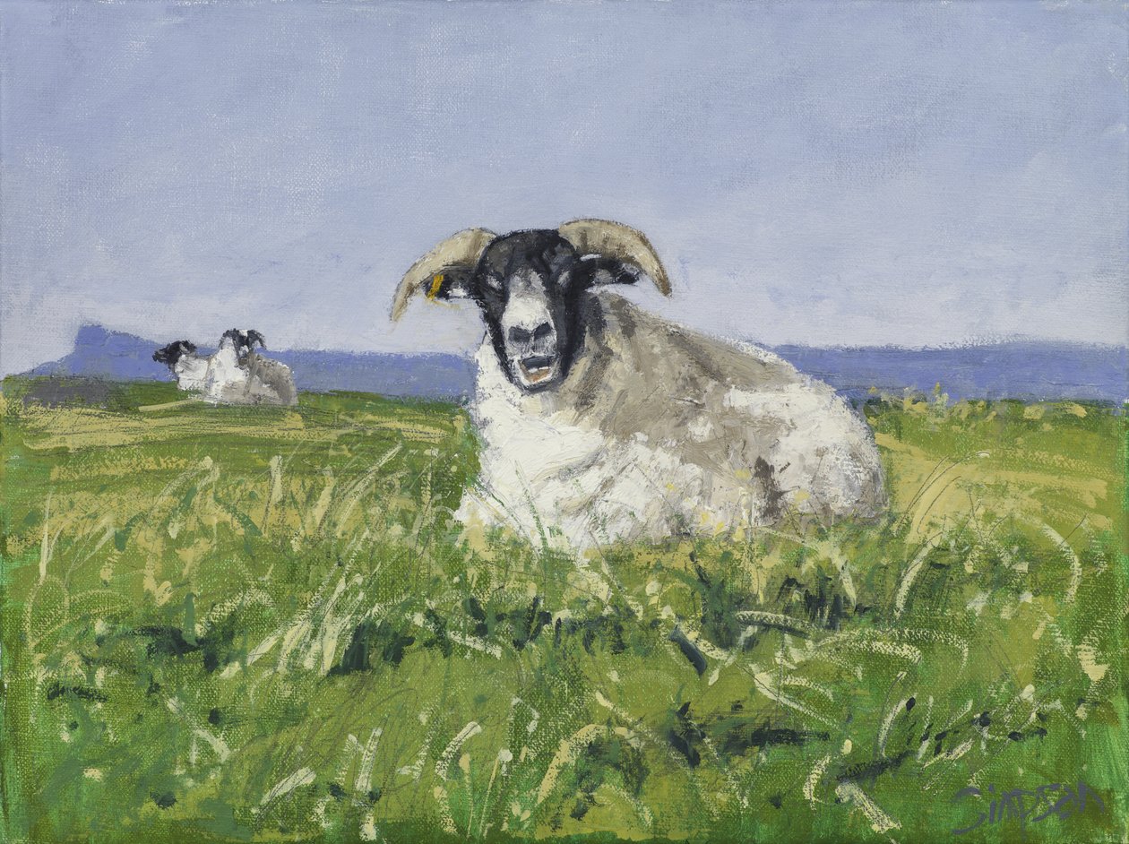 West Coast Sheep, 2017 by Charles Simpson
