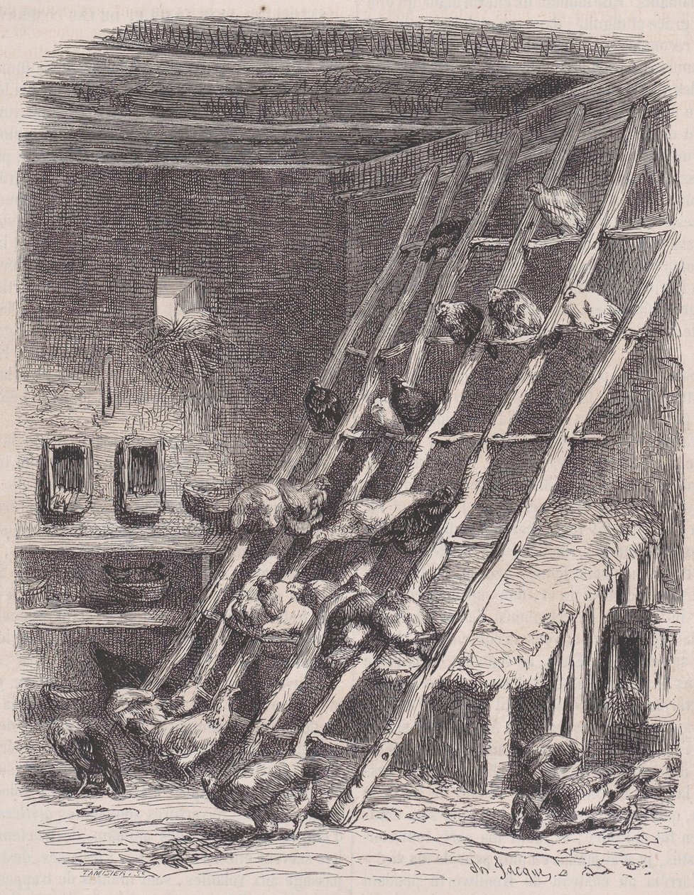 Visit to a Farm - The Roost, from Le Magasin Pittoresque, ca. 1852 by Charles Tamisier