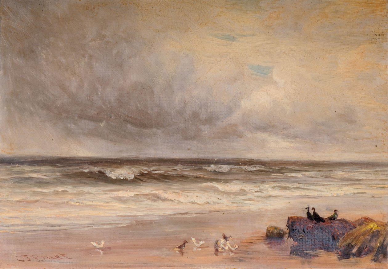 Sea Coast, 1887 by Charles Thomas Burt