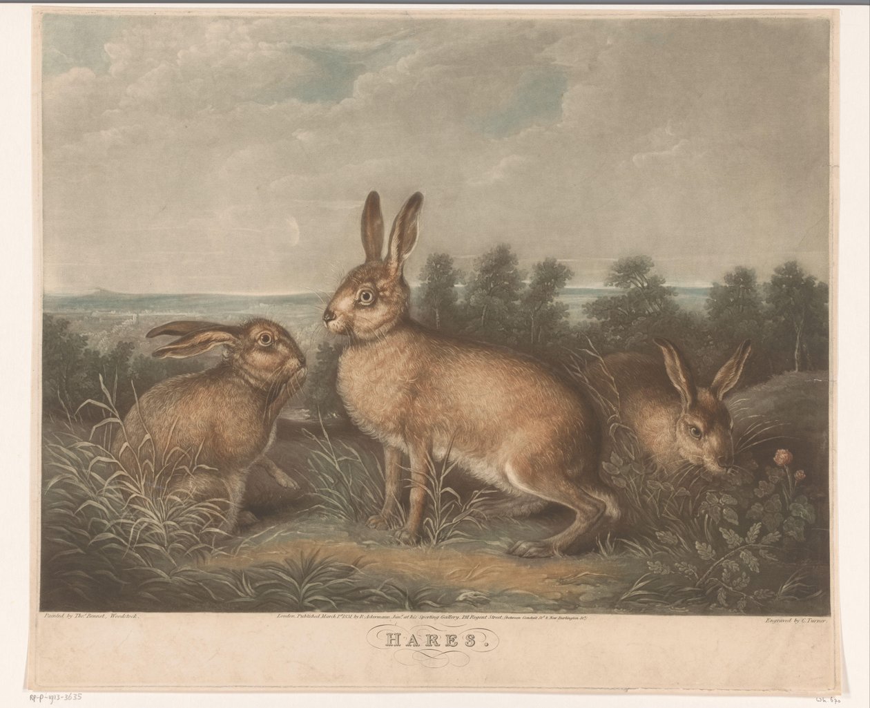 Three Hares by Charles Turner