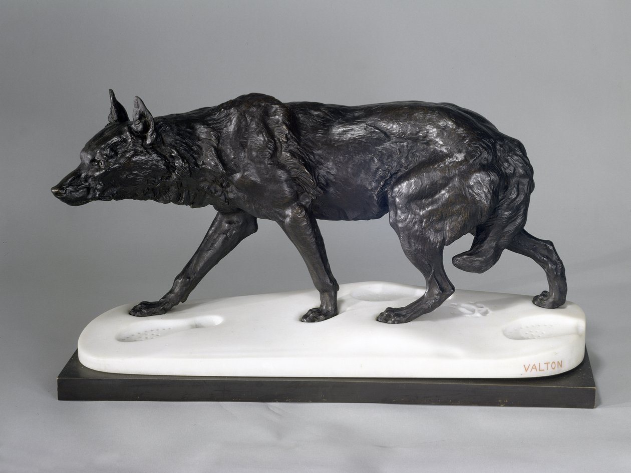 Wolf Tracking in the Snow by Charles Valton