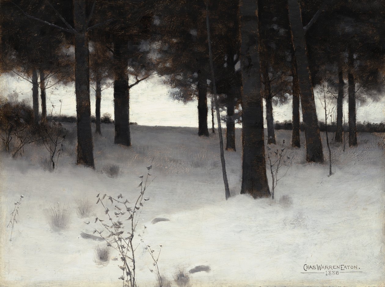 Woods in Winter, 1886 by Charles Warren Eaton