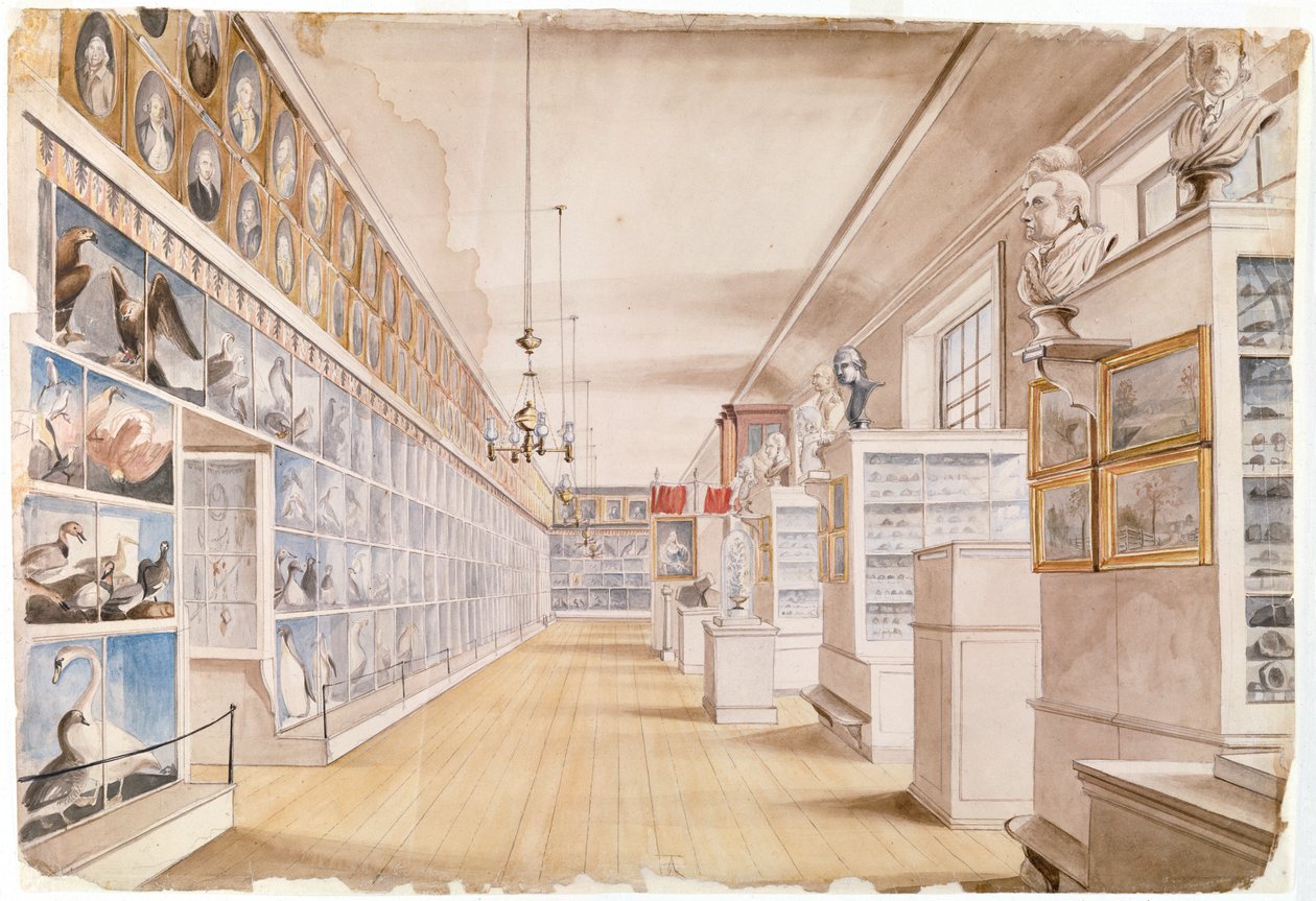The Long Room, Interior of Front Room in Peale