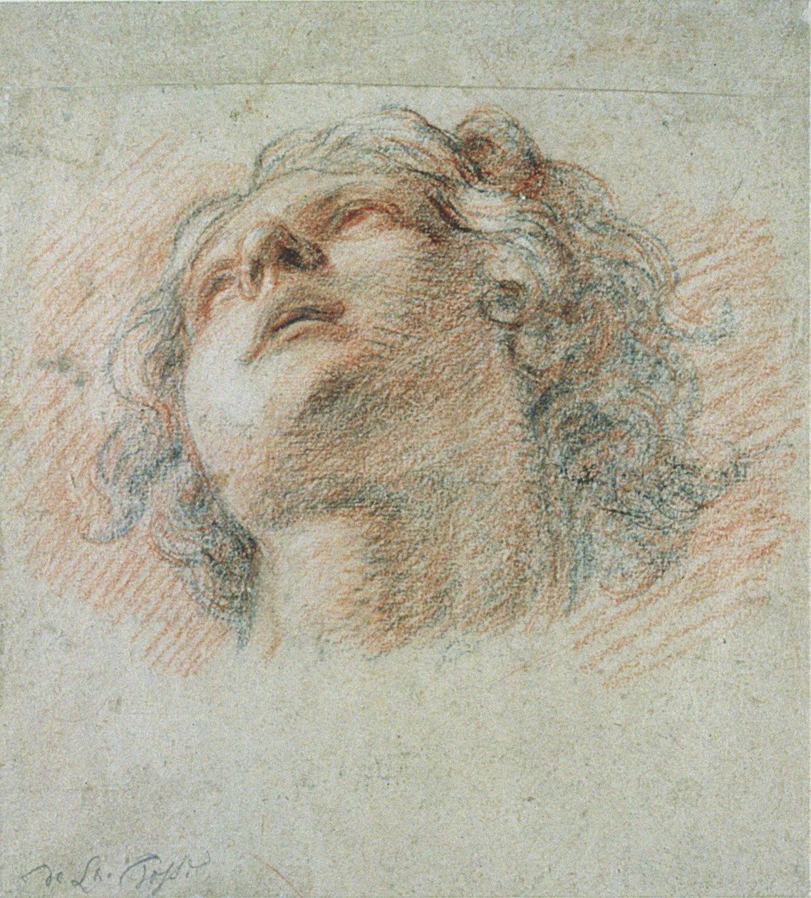 Head of a Youth, seen from below by Charles de la Fosse