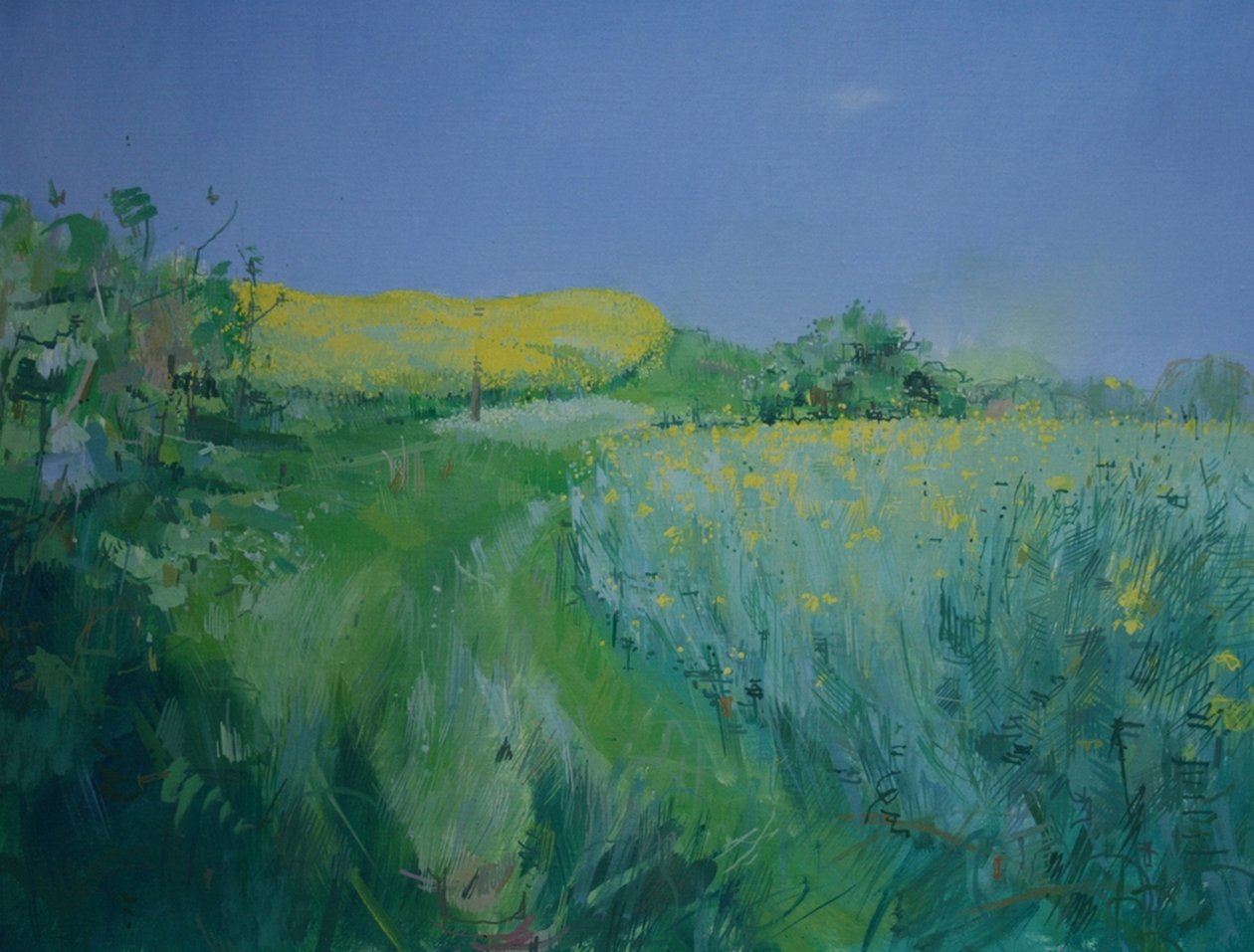 May by Charlie Millar