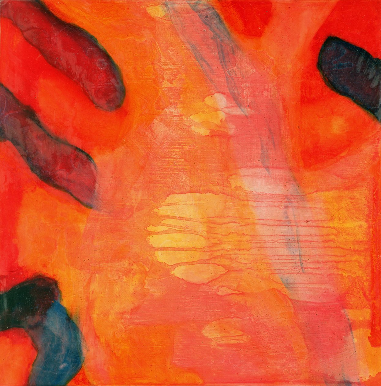 Clown Fish II by Charlotte Johnstone