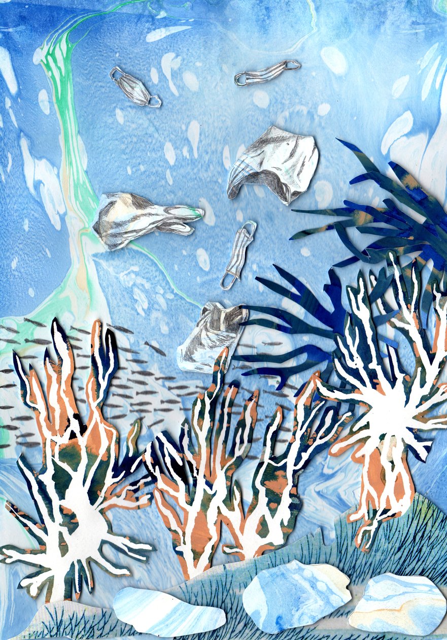 Coral Reefs, 2021 by Charlotte Orr
