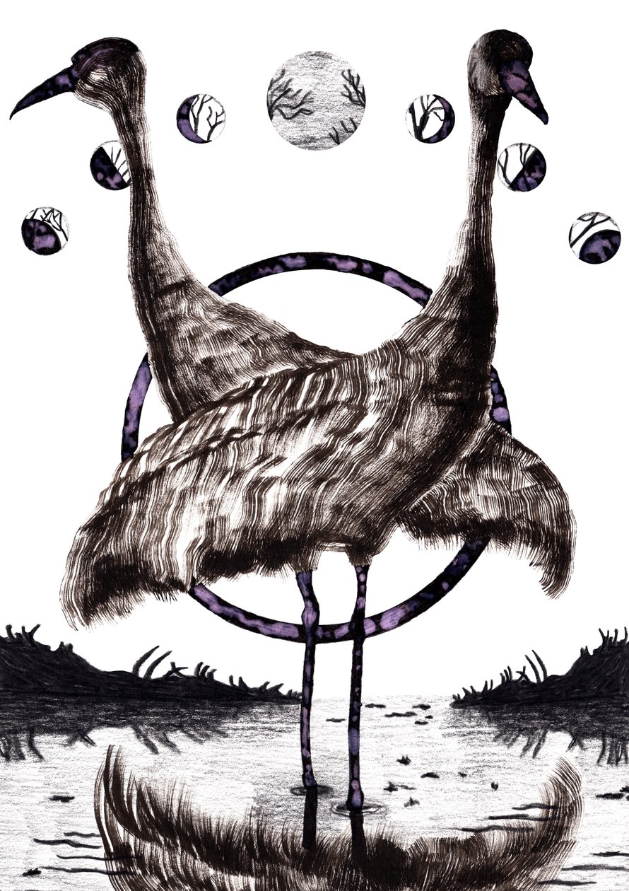 Cranes in Love, 2020 by Charlotte Orr