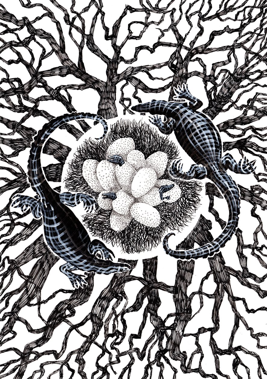 Crocodile Eggs, 2020 by Charlotte Orr
