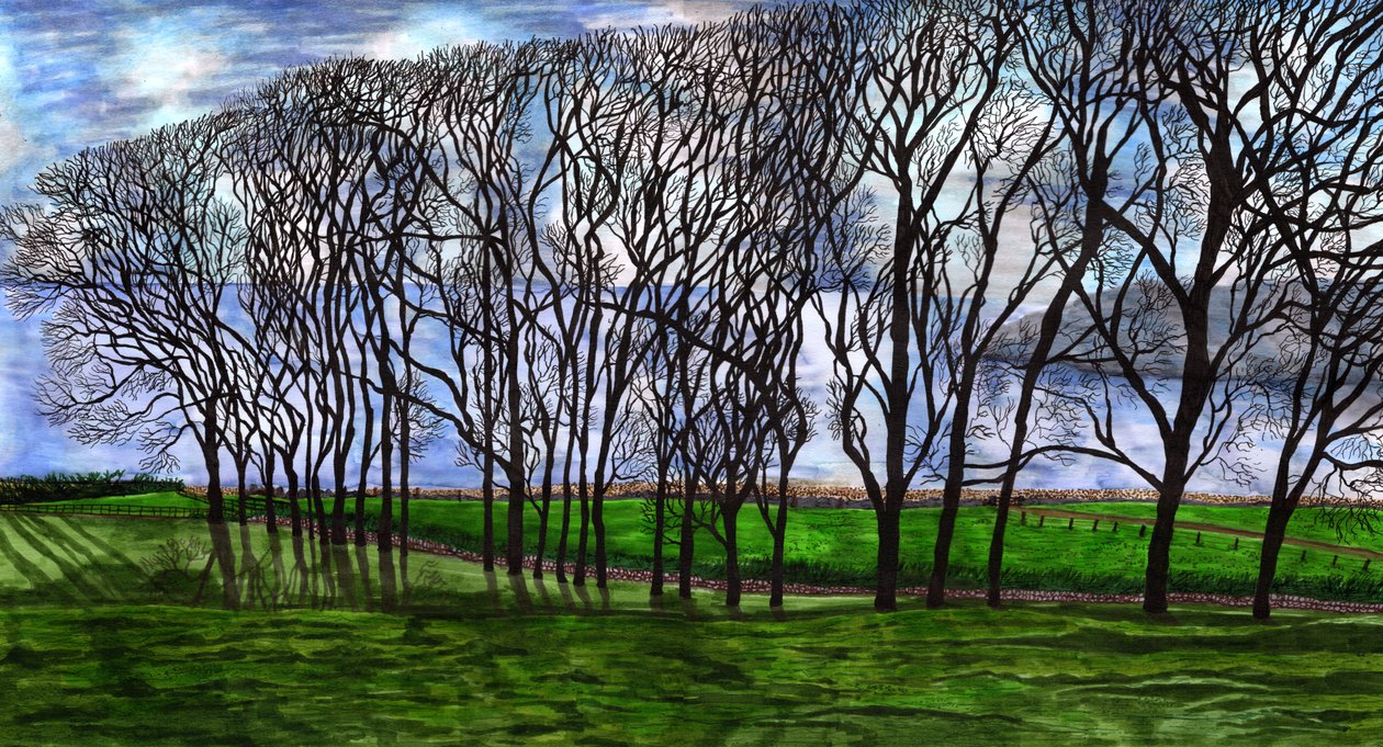 Cushendun, Northern Ireland, 2020 by Charlotte Orr