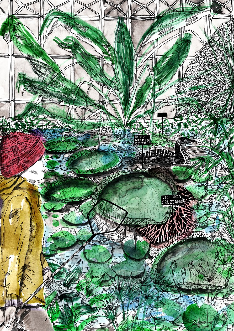 Oxford Botanic Garden, 2020 by Charlotte Orr