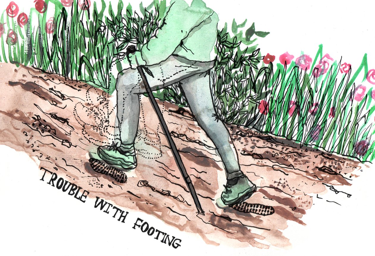 Parkinsons Illustrations by Charlotte Orr