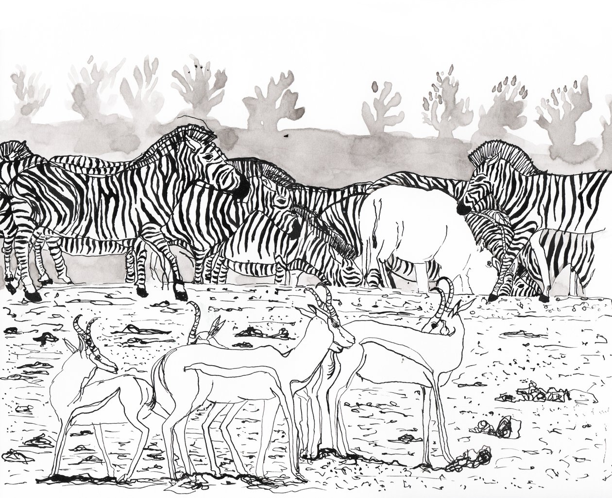 Safari 3, 2018 by Charlotte Orr