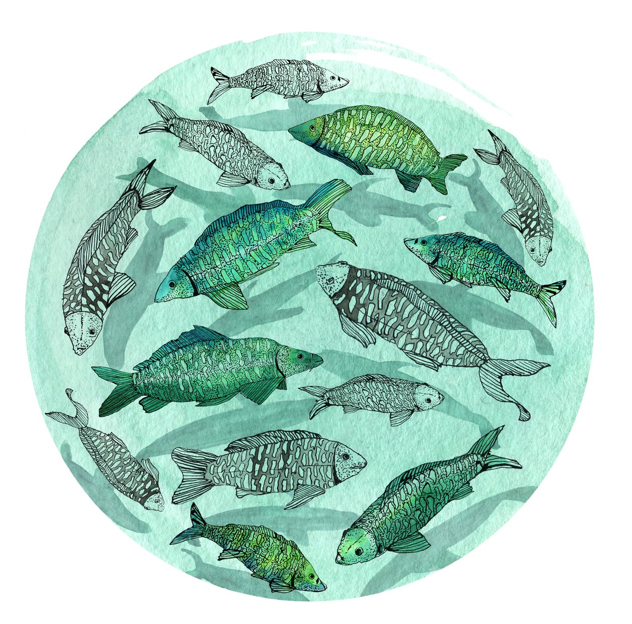 Small Fish Big Pond, 2018 by Charlotte Orr