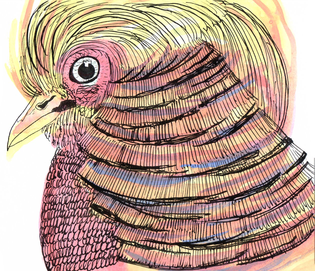 Tropical Bird, 2018 by Charlotte Orr