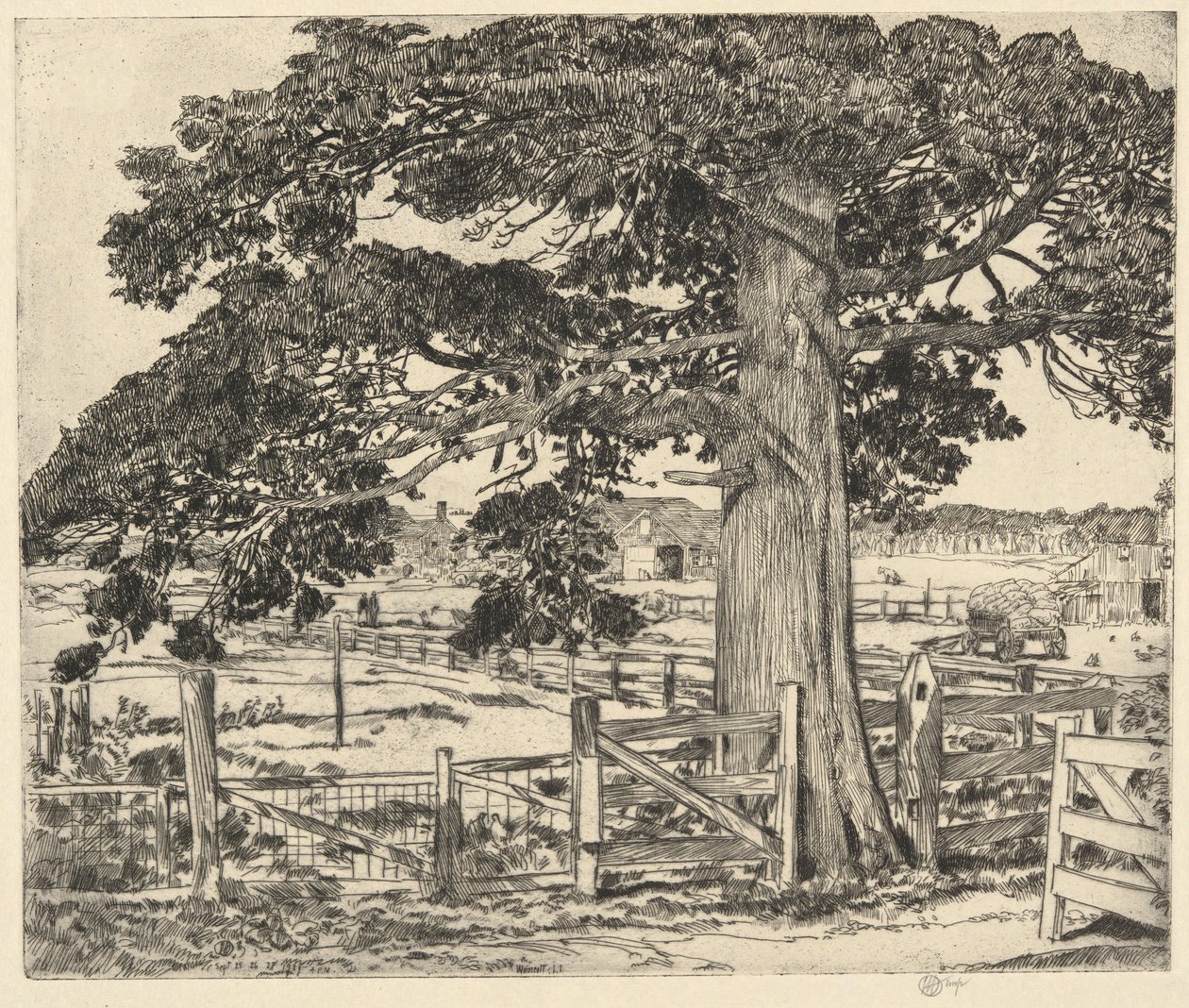 Big Cedar, Wainscott, L. I., 1929 by Childe Hassam
