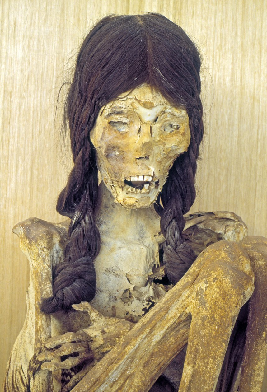 Mummified body of a young woman by Chilean School