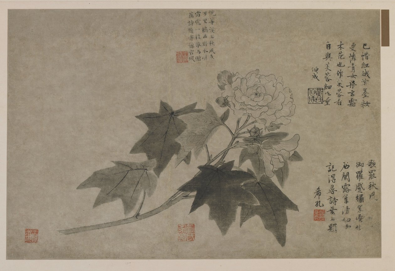 A Branch of Wood Peony, Possibly Qing Dynasty by Chinese School
