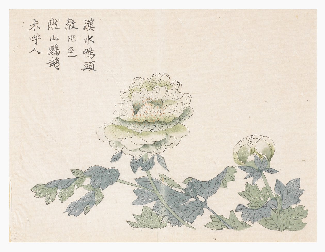 Mustard Seed Garden by Chinese School