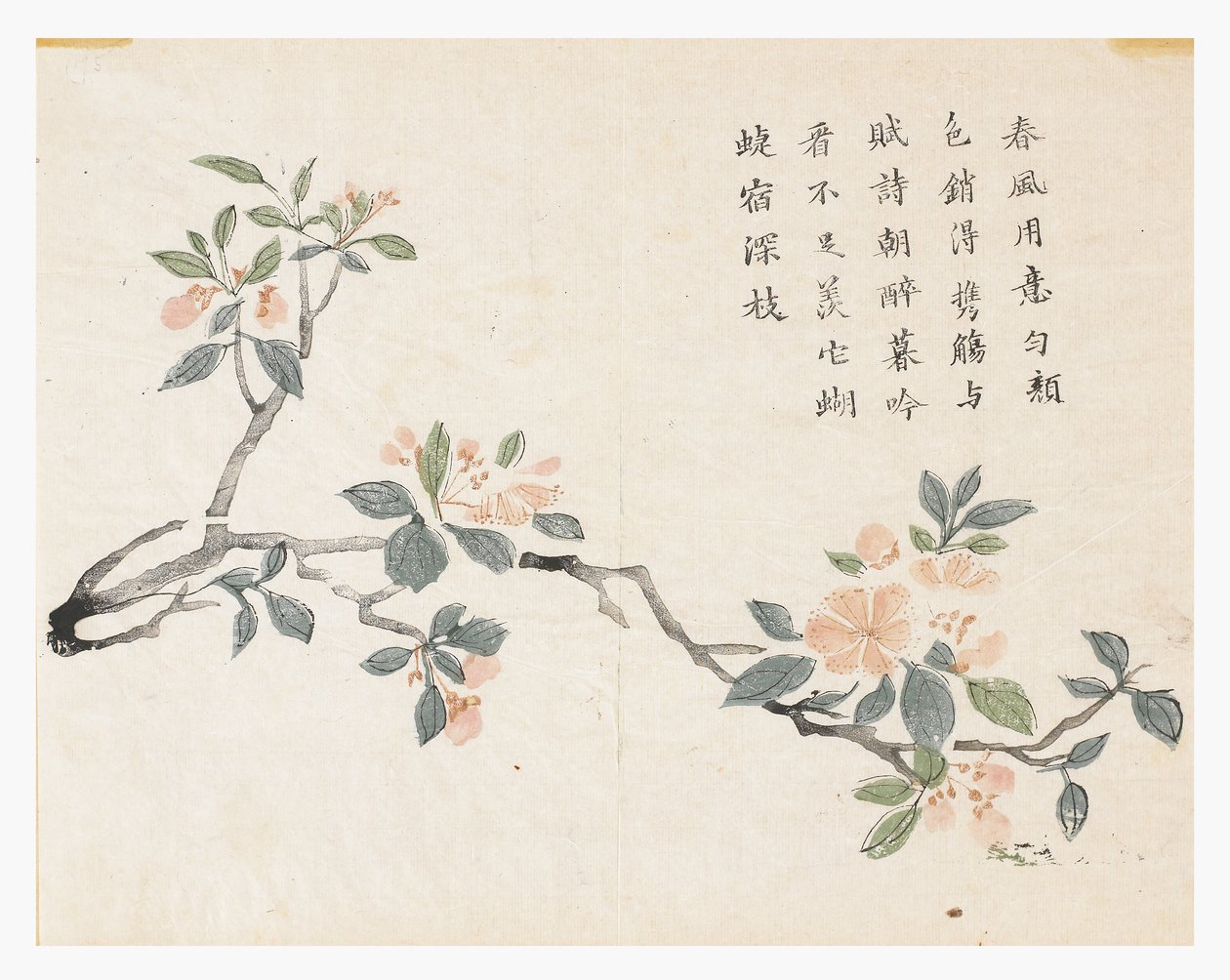 Mustard Seed Garden by Chinese School