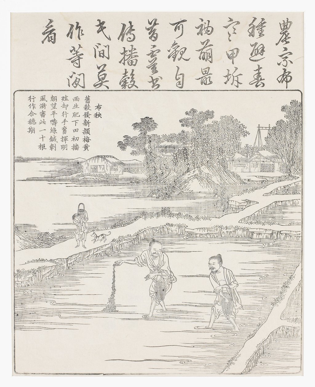 Sowing the rice in a seed bed, 18th century by Chinese School