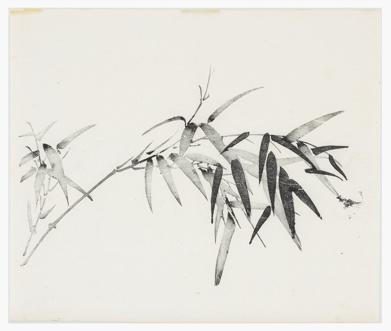 Ten Bamboo Series, 18th century by Chinese School