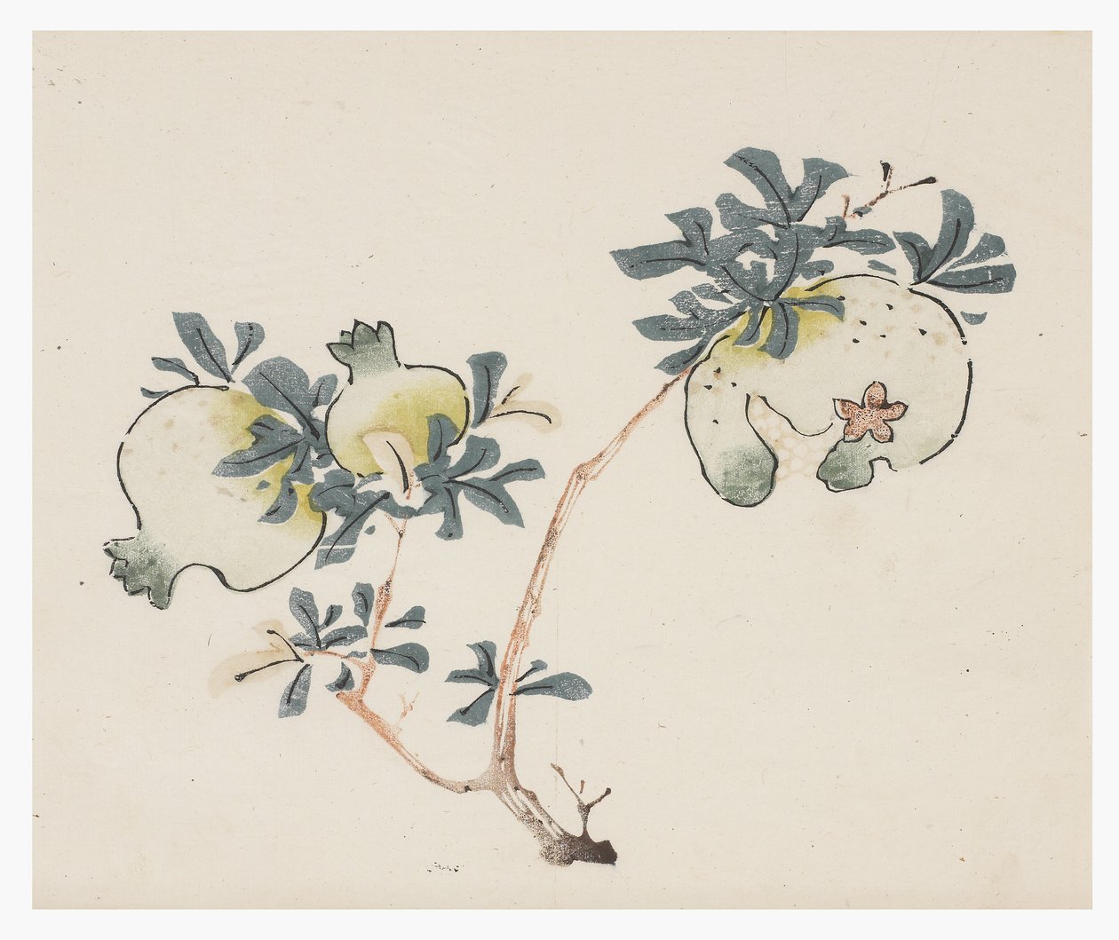 Ten Bamboo Series, 18th century by Chinese School