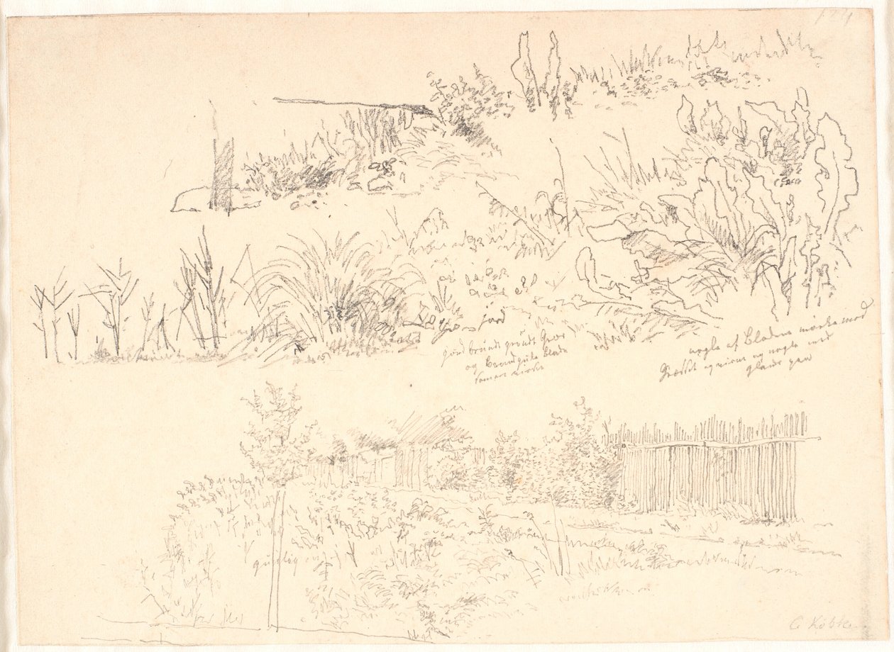 The Path Along the Lakes. Various Plant Studies and Notes Regarding Them by Christen Købke