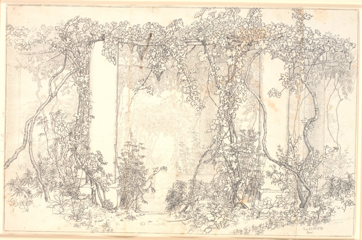 Study of a Pergola in Capri by Christen Købke