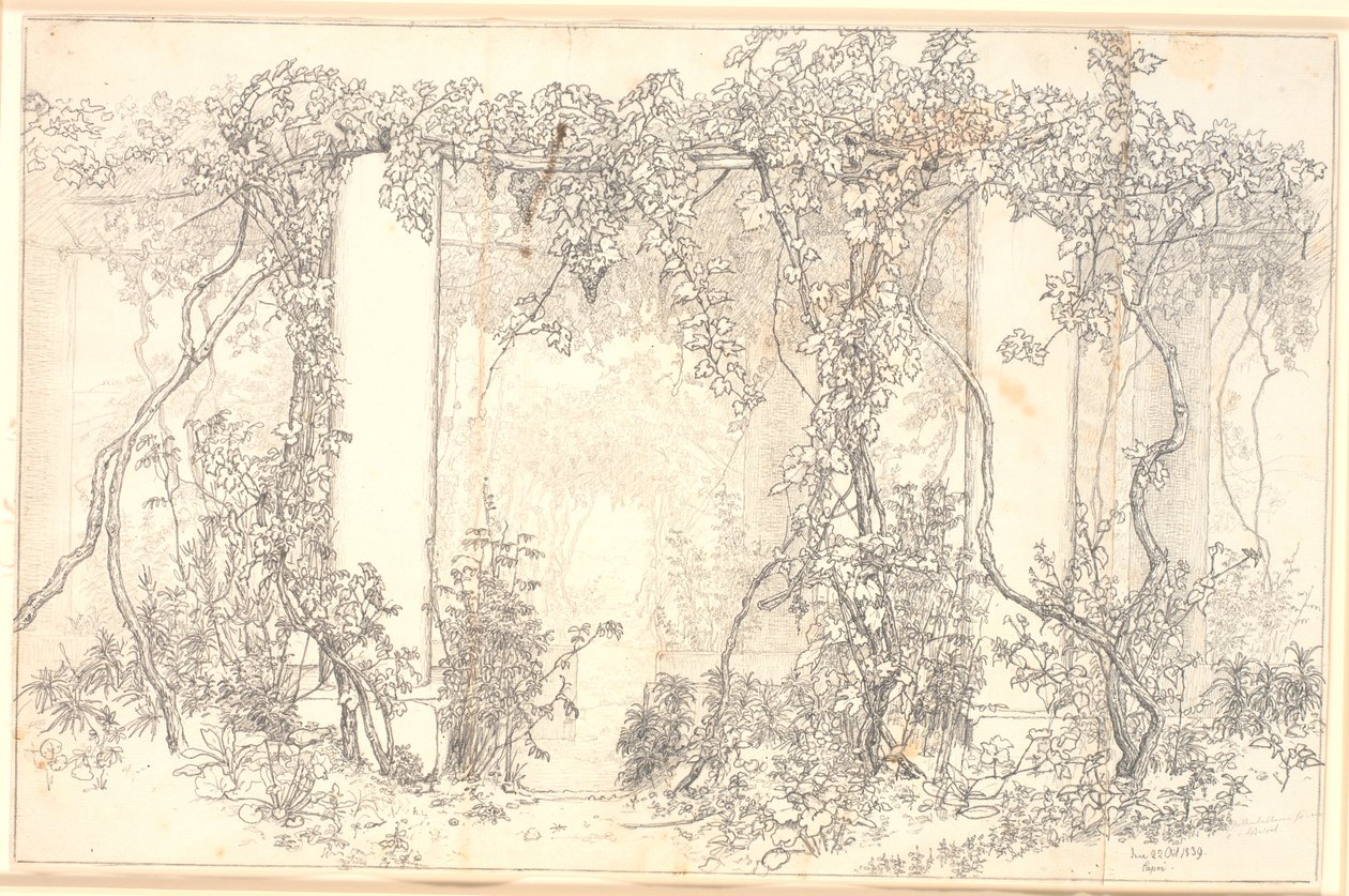 Study of a Pergola in Capri by Christen Købke