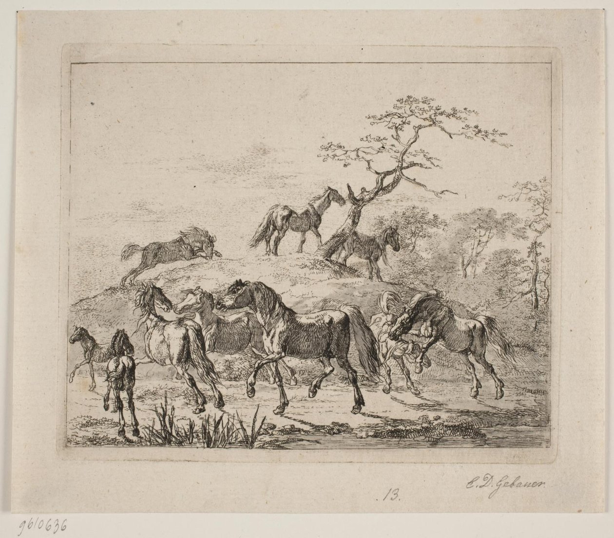 Stud Farm Horses by Christian David Gebauer