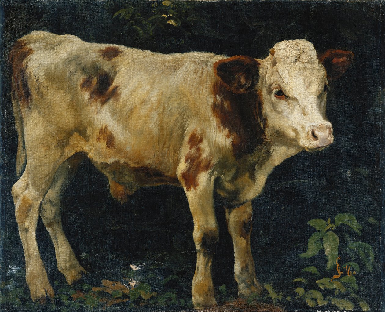 A Bull Calf by Christian Eriksen Skredsvig